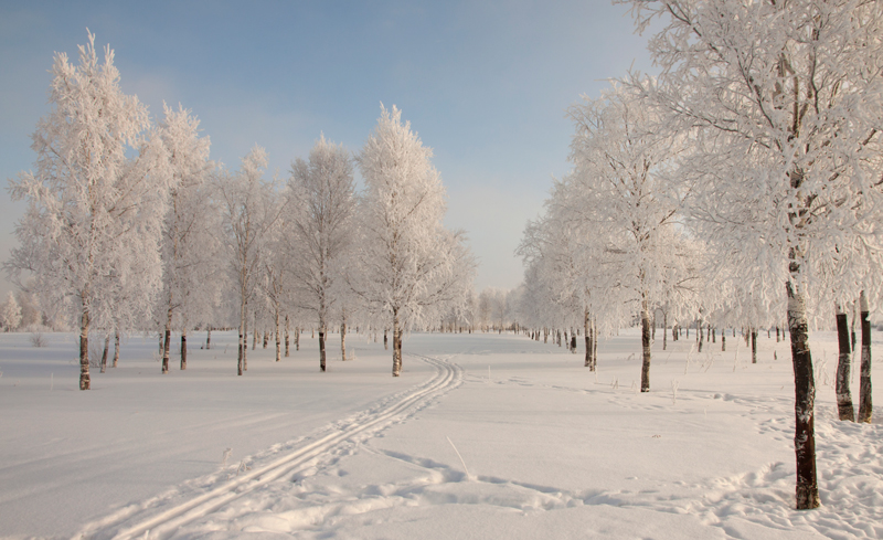 a snowy day